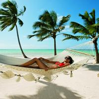 Отзыв от Алина - виза ДТВ